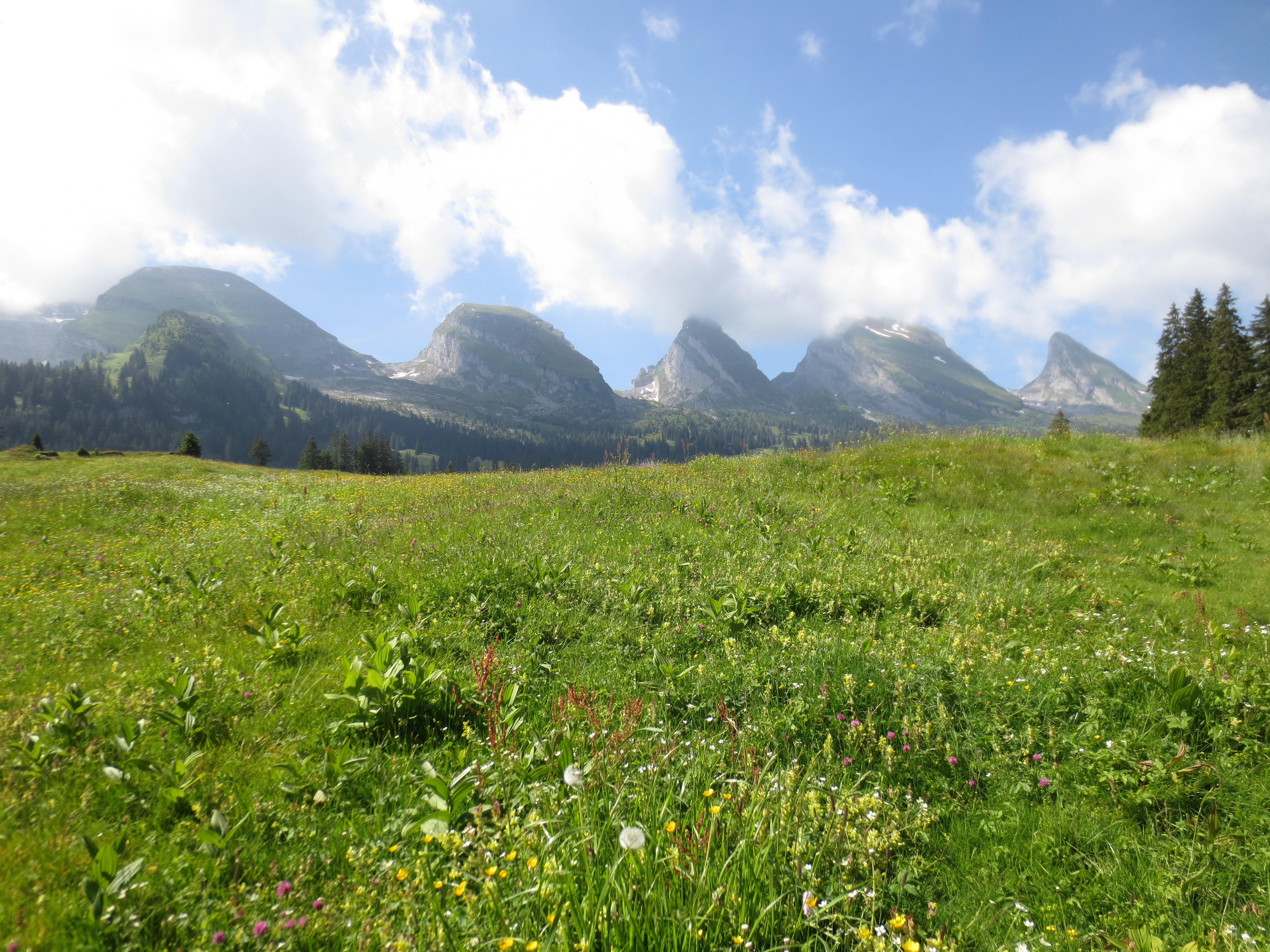 Permalink to:Wanderung auf den Brisi (2279) – erste Kontakte mit der Schweizer Bergwelt